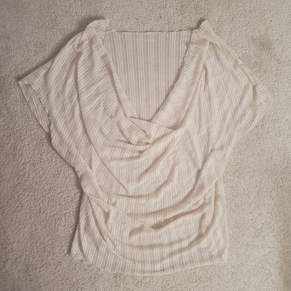 Beige Loose Sheer Top (4XL)